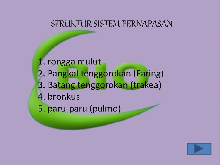 STRUKTUR SISTEM PERNAPASAN 1. rongga mulut 2. Pangkal tenggorokan (Faring) 3. Batang tenggorokan (trakea) STRUKTUR SISTEM PERNAPASAN 1. rongga mulut 2. Pangkal tenggorokan (Faring) 3. Batang tenggorokan (trakea)