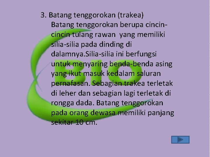 3. Batang tenggorokan (trakea) Batang tenggorokan berupa cincin tulang rawan yang memiliki silia-silia pada 3. Batang tenggorokan (trakea) Batang tenggorokan berupa cincin tulang rawan yang memiliki silia-silia pada