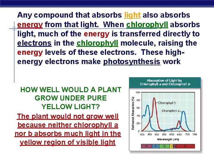 Any compound that absorbs light also absorbs energy from that light. When chlorophyll absorbs