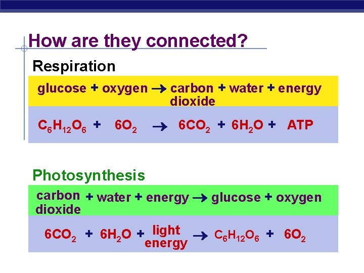 How are they connected? Respiration glucose + oxygen carbon + water + energy dioxide