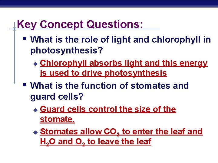 Key Concept Questions: § What is the role of light and chlorophyll in photosynthesis?