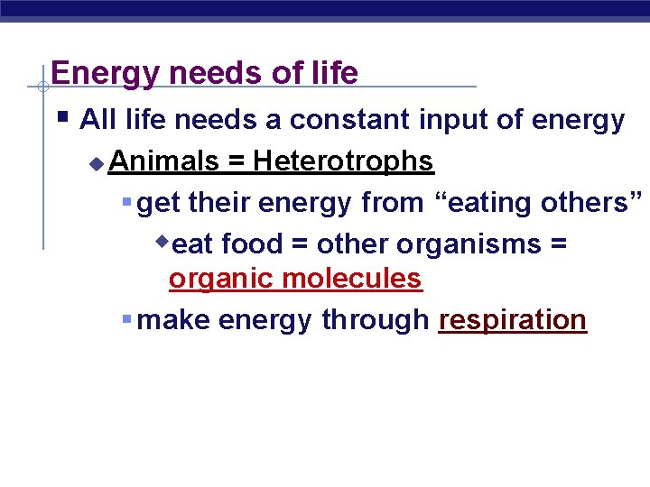 Energy needs of life § All life needs a constant input of energy u