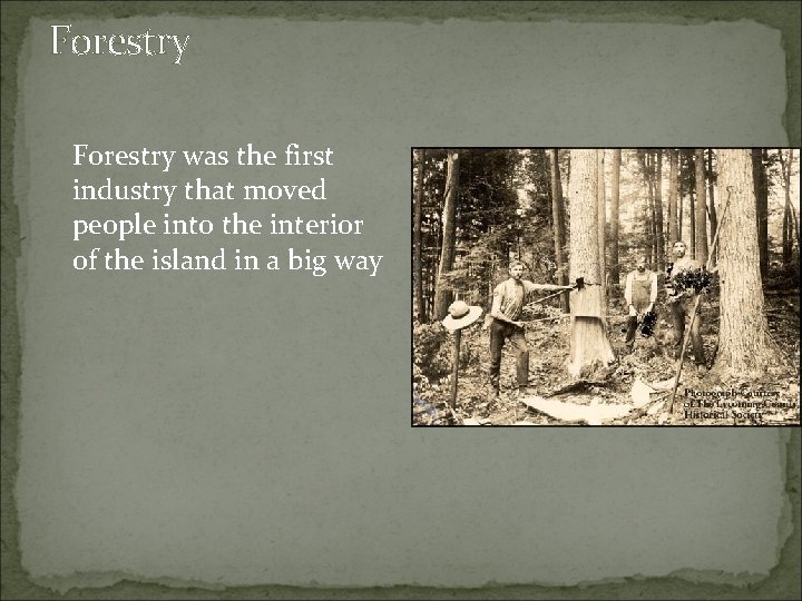 Forestry was the first industry that moved people into the interior of the island