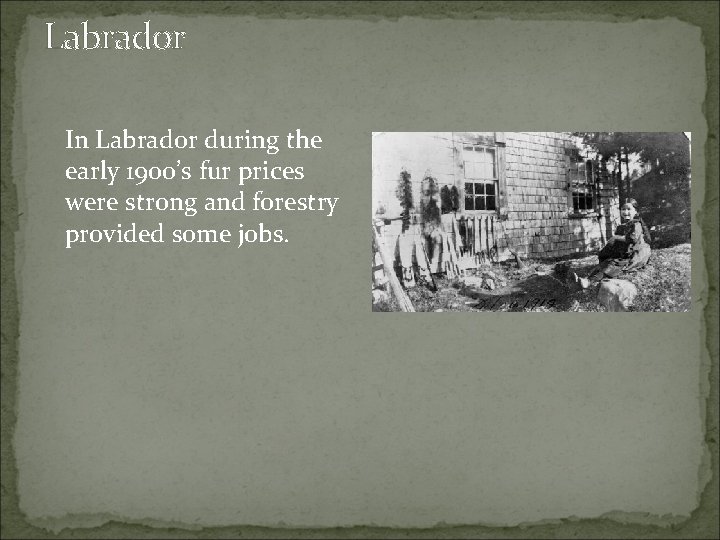 Labrador In Labrador during the early 1900’s fur prices were strong and forestry provided