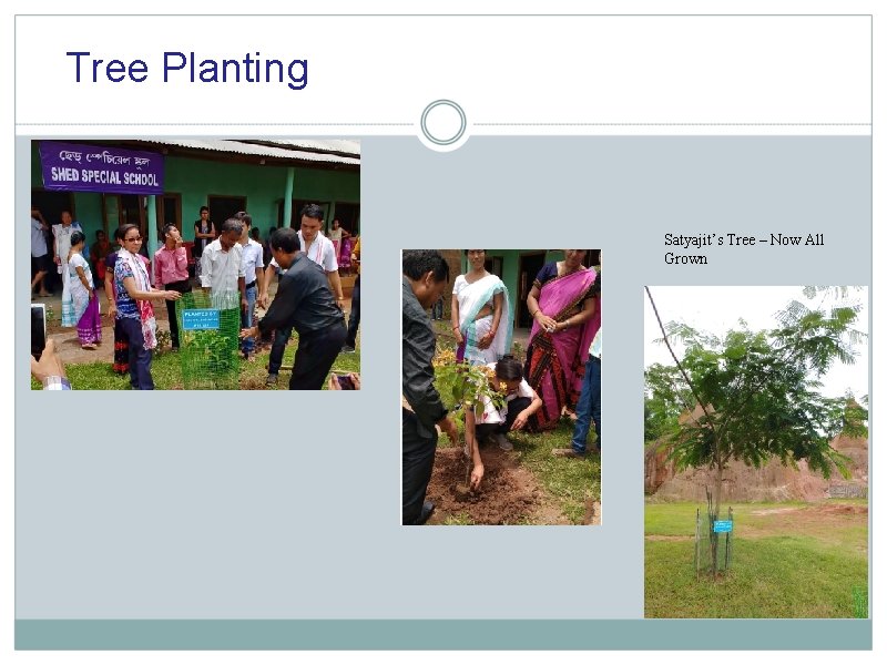 Tree Planting Satyajit’s Tree – Now All Grown 