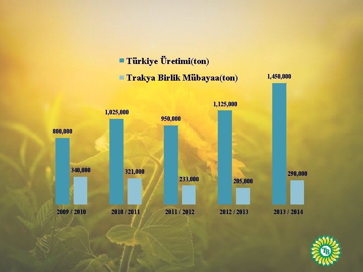 Türkiye Üretimi(ton) Trakya Birlik Mübayaa(ton) 1, 450, 000 1, 125, 000 1, 025, 000