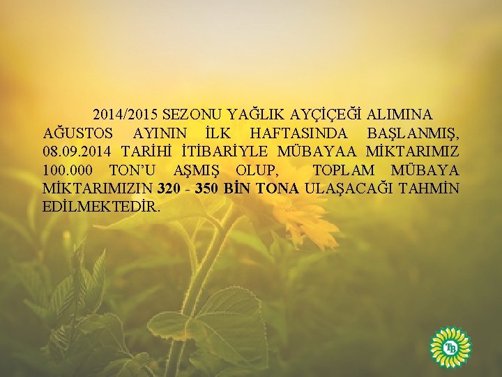 2014/2015 SEZONU YAĞLIK AYÇİÇEĞİ ALIMINA AĞUSTOS AYININ İLK HAFTASINDA BAŞLANMIŞ, 08. 09. 2014 TARİHİ