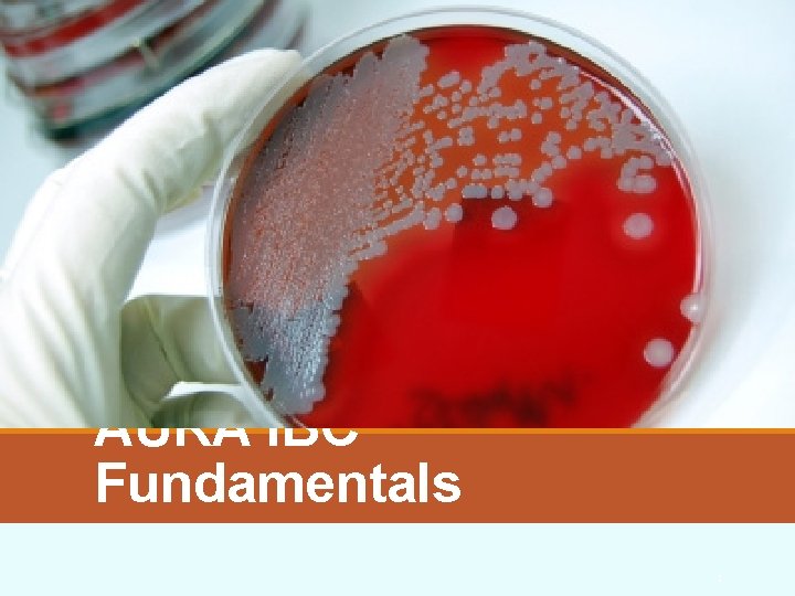 AURA IBC Fundamentals 1 