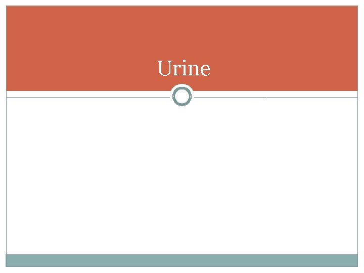 Urine 