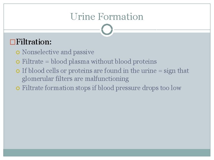 Urine Formation �Filtration: Nonselective and passive Filtrate = blood plasma without blood proteins If