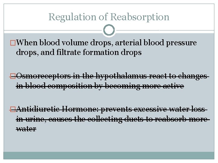 Regulation of Reabsorption �When blood volume drops, arterial blood pressure drops, and filtrate formation