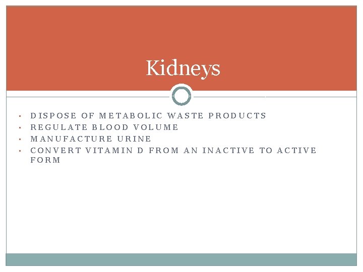 Kidneys • • DISPOSE OF METABOLIC WASTE PRODUCTS REGULATE BLOOD VOLUME MANUFACTURE URINE CONVERT