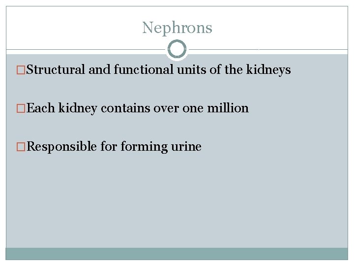 Nephrons �Structural and functional units of the kidneys �Each kidney contains over one million