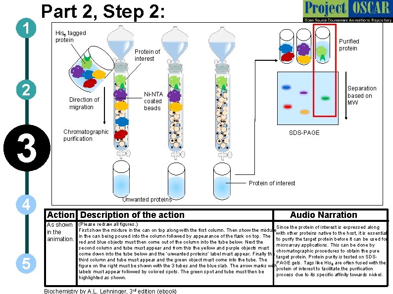 1 Part 2, Step 2: His 6 tagged protein Purified protein Protein of interest