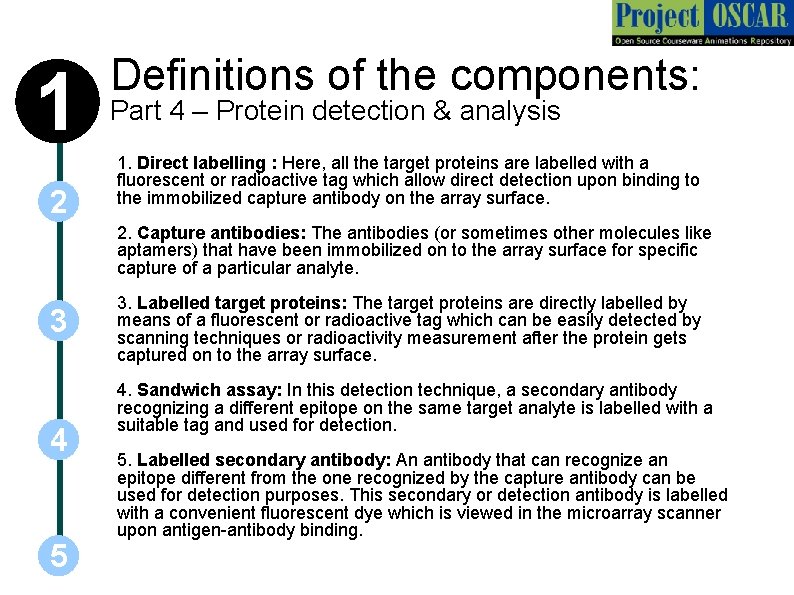 1 2 Definitions of the components: Part 4 – Protein detection & analysis 1.