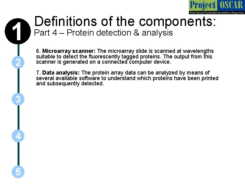 1 2 Definitions of the components: Part 4 – Protein detection & analysis 6.