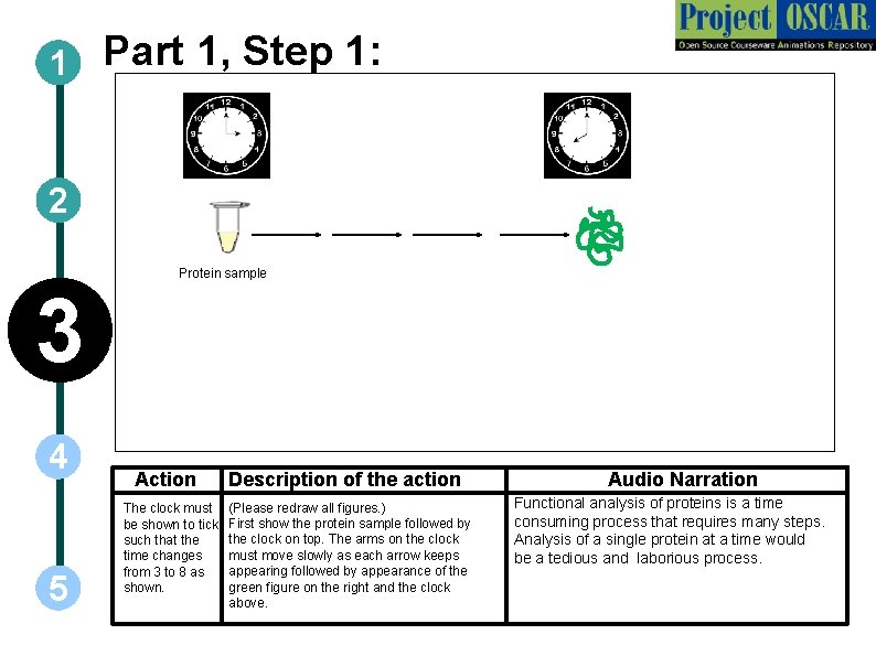 1 Part 1, Step 1: 2 Protein sample 3 4 5 Action The clock