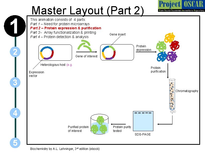 1 Master Layout (Part 2) This animation consists of 4 parts: Part 1 –