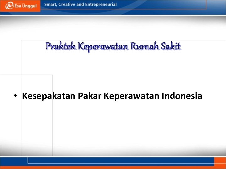 Praktek Keperawatan Rumah Sakit • Kesepakatan Pakar Keperawatan Indonesia 