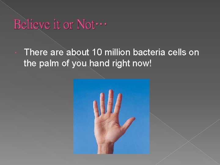 Believe it or Not… There about 10 million bacteria cells on the palm of
