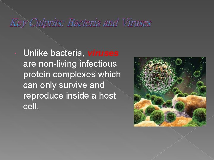 Key Culprits: Bacteria and Viruses Unlike bacteria, viruses are non-living infectious protein complexes which