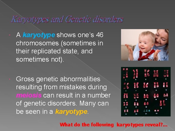 Karyotypes and Genetic disorders A karyotype shows one’s 46 chromosomes (sometimes in their replicated