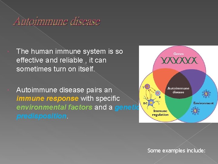 Autoimmune disease The human immune system is so effective and reliable , it can