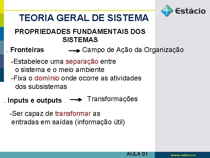 TEORIA GERAL DE SISTEMA PROPRIEDADES FUNDAMENTAIS DOS SISTEMAS. Fronteiras Campo de Ação da Organização