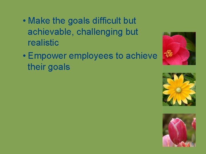  • Make the goals difficult but achievable, challenging but realistic • Empower employees
