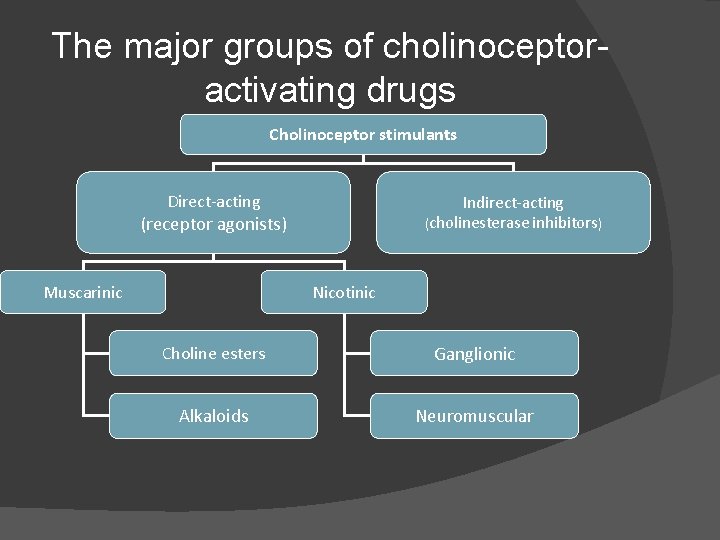 The major groups of cholinoceptoractivating drugs Cholinoceptor stimulants Direct-acting Indirect-acting (cholinesterase inhibitors) (receptor agonists)