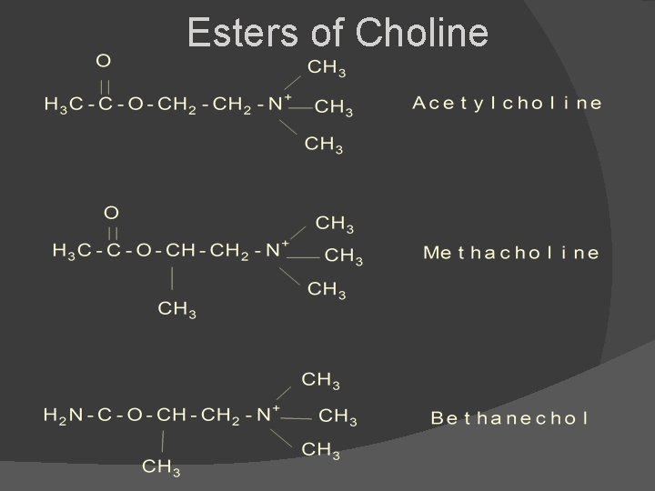 Esters of Choline 