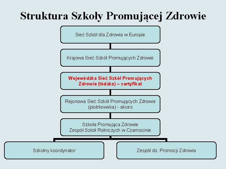 Struktura Szkoły Promującej Zdrowie Sieć Szkół dla Zdrowia w Europie Krajowa Sieć Szkół Promujących