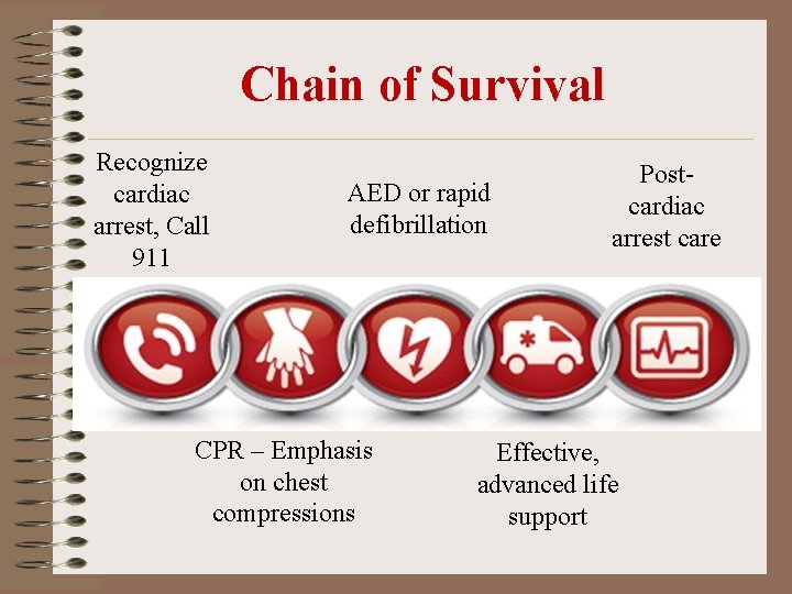 Chain of Survival Recognize cardiac arrest, Call 911 AED or rapid defibrillation CPR –