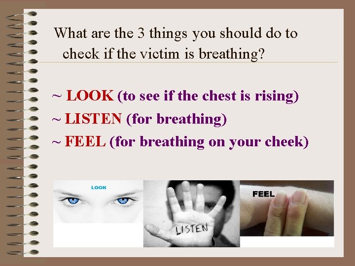 What are the 3 things you should do to check if the victim is