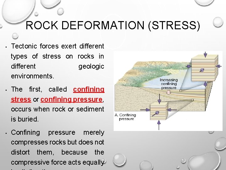 ROCK DEFORMATION (STRESS) • • • Tectonic forces exert different types of stress on ROCK DEFORMATION (STRESS) • • • Tectonic forces exert different types of stress on