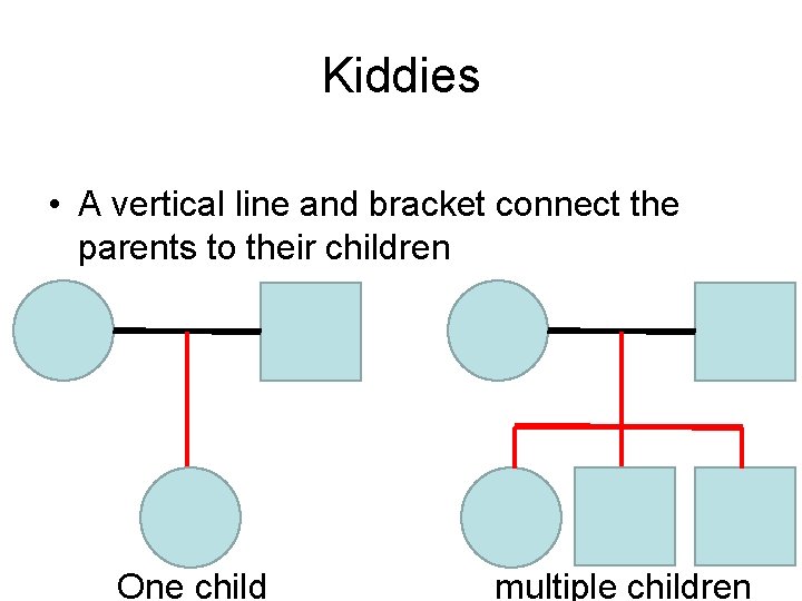 Kiddies • A vertical line and bracket connect the parents to their children One