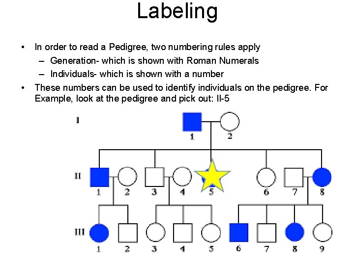 Labeling • • In order to read a Pedigree, two numbering rules apply –