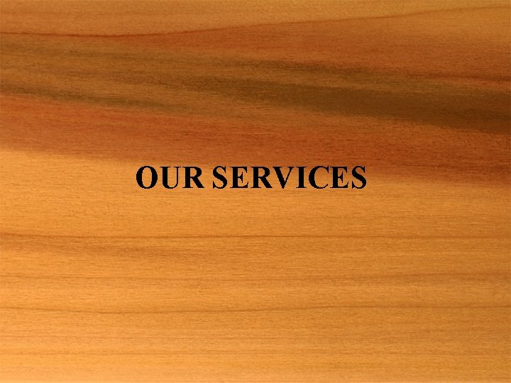 OUR SERVICES 