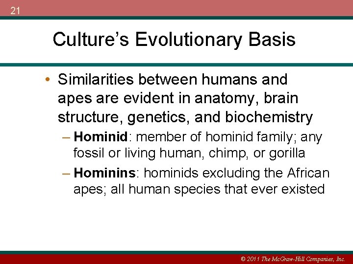 21 Culture’s Evolutionary Basis • Similarities between humans and apes are evident in anatomy,