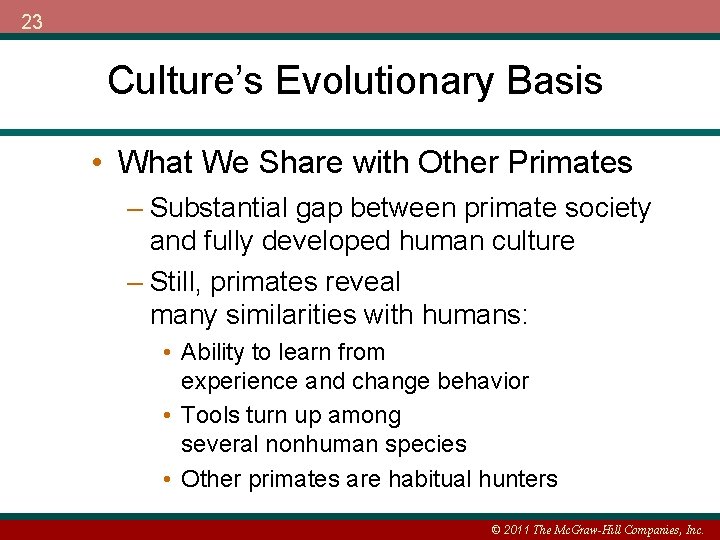 23 Culture’s Evolutionary Basis • What We Share with Other Primates – Substantial gap