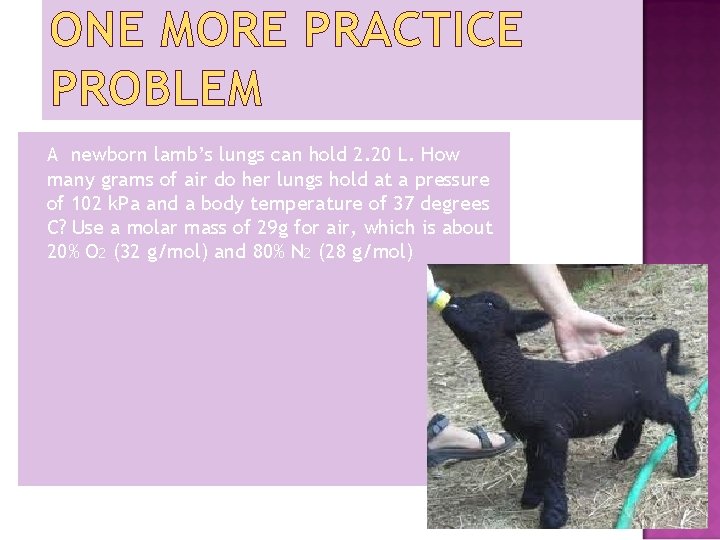 ONE MORE PRACTICE PROBLEM A newborn lamb’s lungs can hold 2. 20 L. How