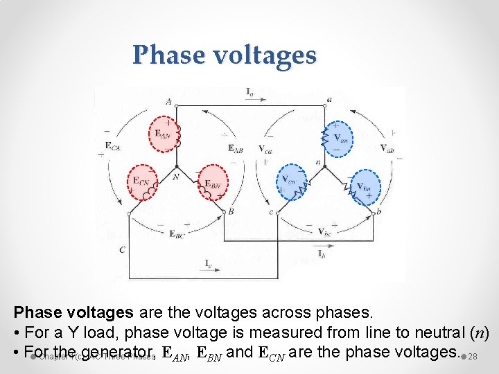 Phase voltages are the voltages across phases. • For a Y load, phase voltage