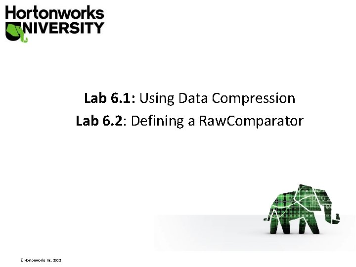 Lab 6. 1: Using Data Compression Lab 6. 2: Defining a Raw. Comparator © Lab 6. 1: Using Data Compression Lab 6. 2: Defining a Raw. Comparator ©