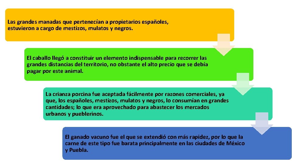 Las grandes manadas que pertenecían a propietarios españoles, estuvieron a cargo de mestizos, mulatos