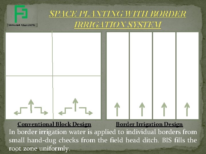 SPACE PLANTING WITH BORDER IRRIGATION SYSTEM Conventional Block Design Border Irrigation Design In border SPACE PLANTING WITH BORDER IRRIGATION SYSTEM Conventional Block Design Border Irrigation Design In border