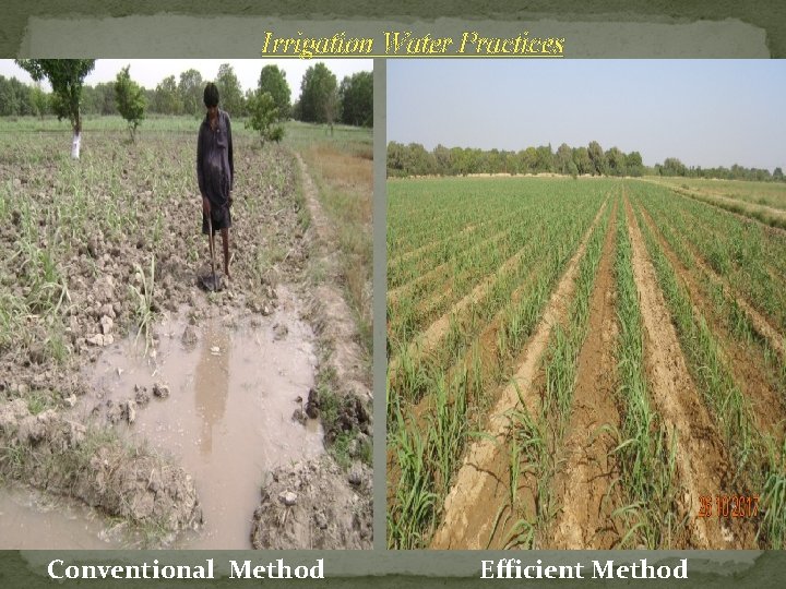 Irrigation Water Practices Conventional Method Efficient Method Irrigation Water Practices Conventional Method Efficient Method
