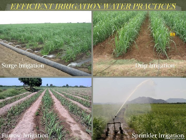 EFFICIENT IRRIGATION WATER PRACTICES Surge Irrigation Furrow Irrigation Drip Irrigation Sprinkler Irrigation EFFICIENT IRRIGATION WATER PRACTICES Surge Irrigation Furrow Irrigation Drip Irrigation Sprinkler Irrigation