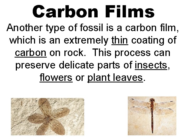 Carbon Films Another type of fossil is a carbon film, which is an extremely