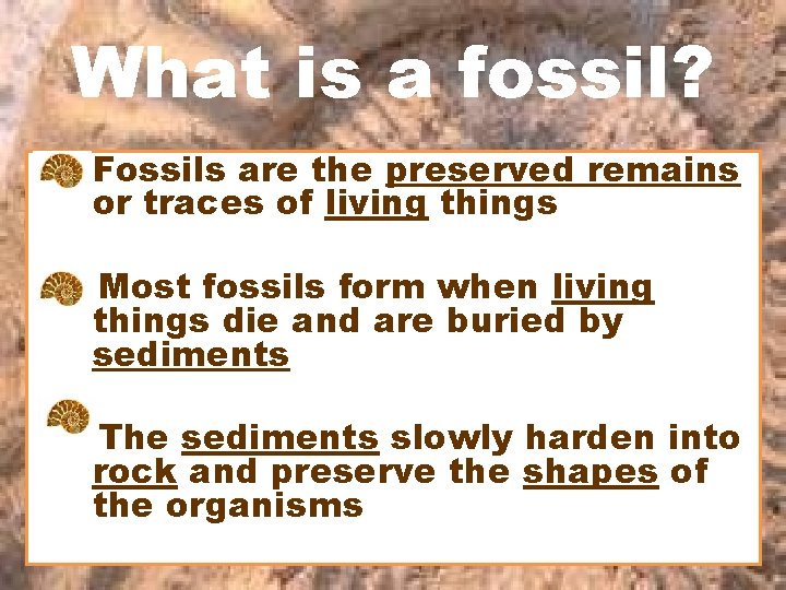 What is a fossil? Fossils are the preserved remains or traces of living things