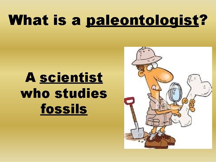 What is a paleontologist? A scientist who studies fossils 